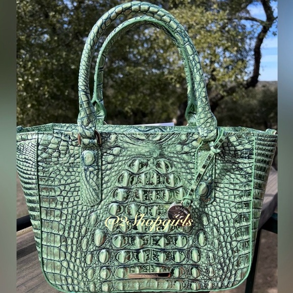 NWT Brahmin Small Ashlee AGAVE Melbourne Satchel/Crossbody#1 - Picture 1 of 15